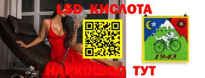 кокс Нальчик