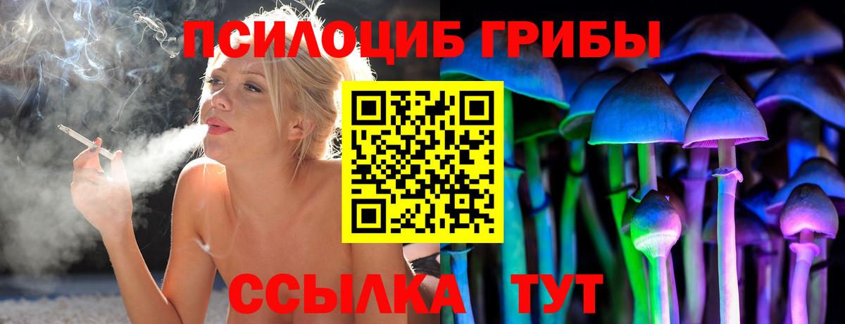 Псилоцибиновые грибы прущие грибы Чехов